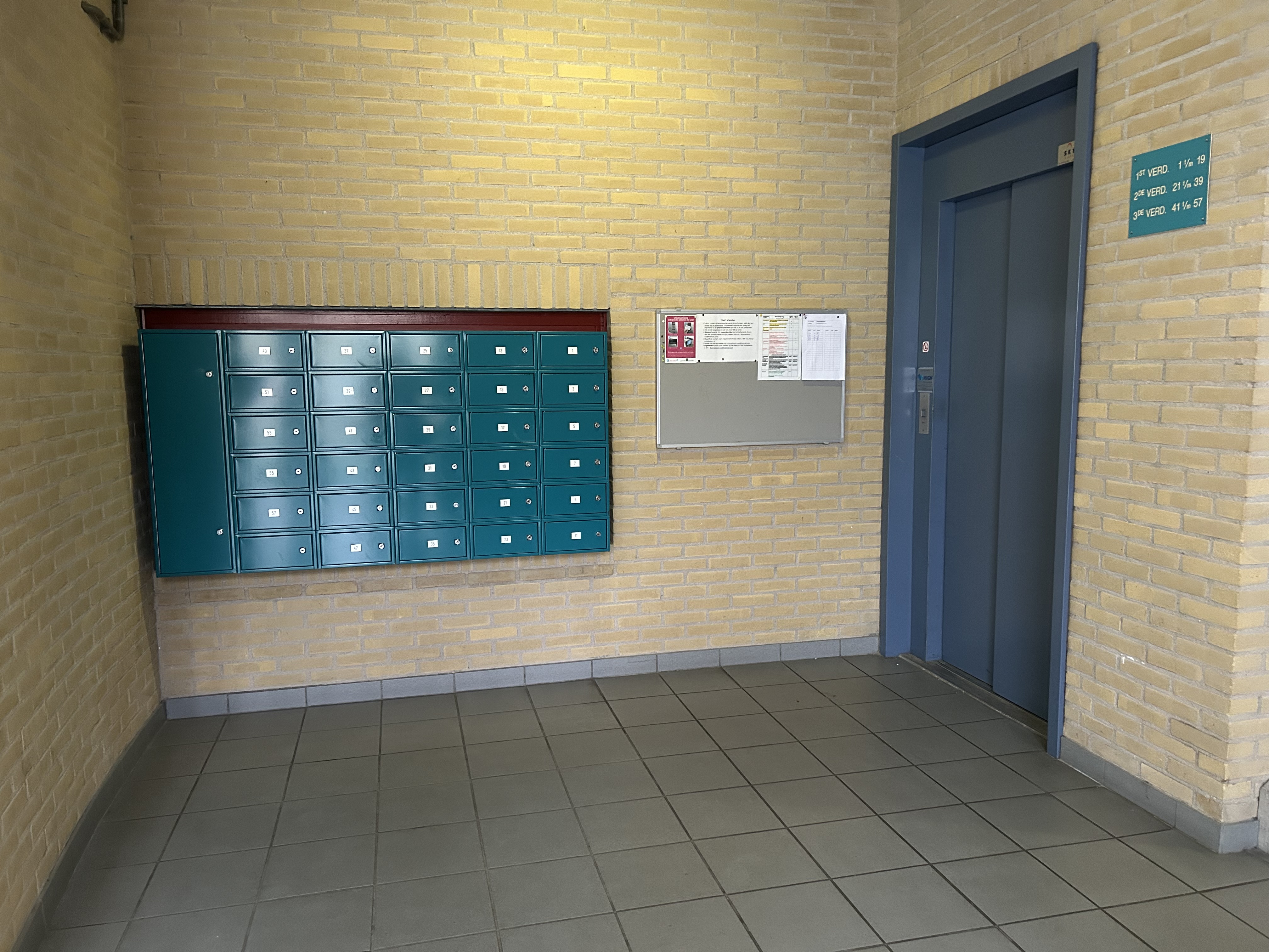 Runneboom 9
