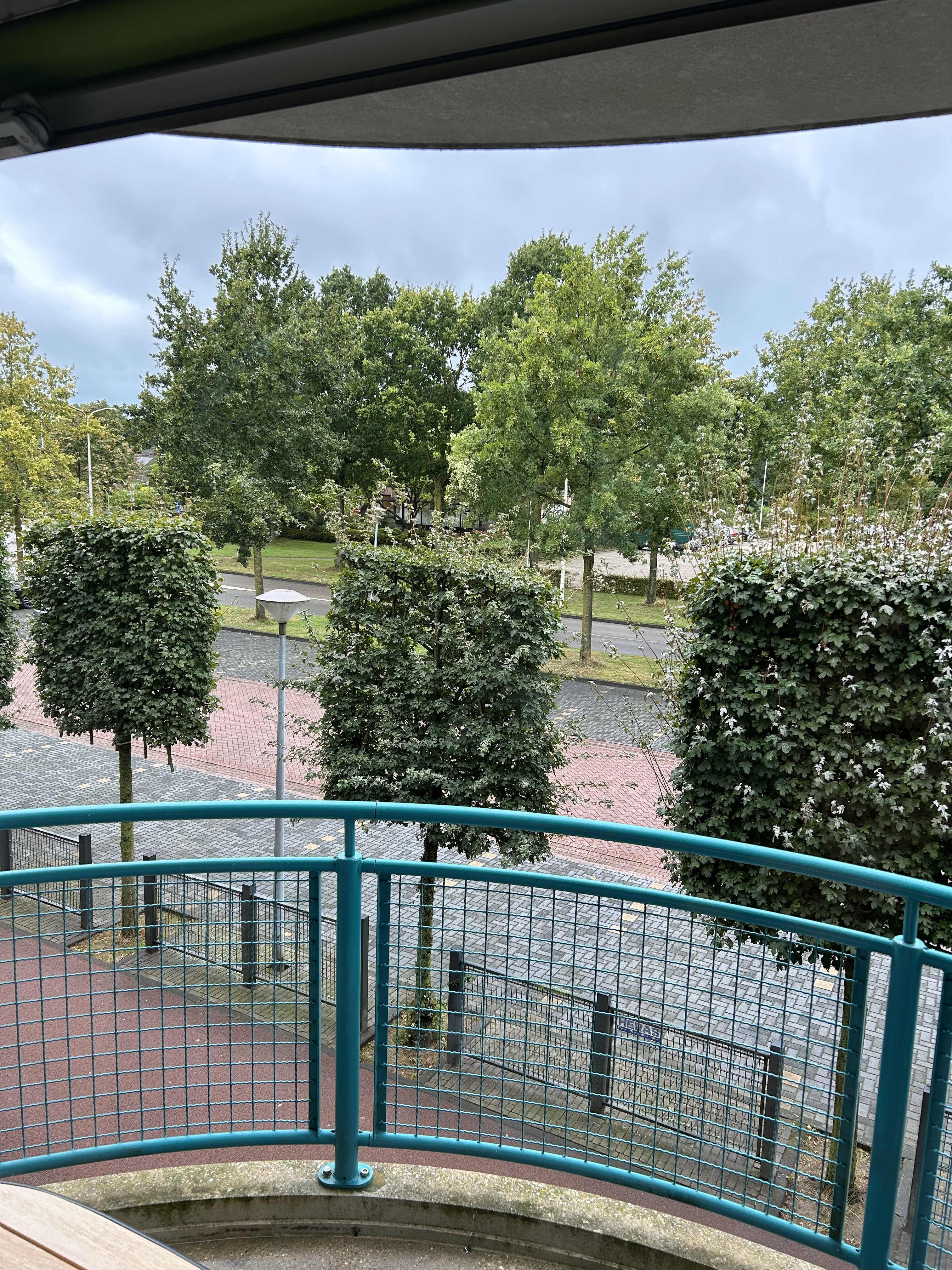 Runneboom 9