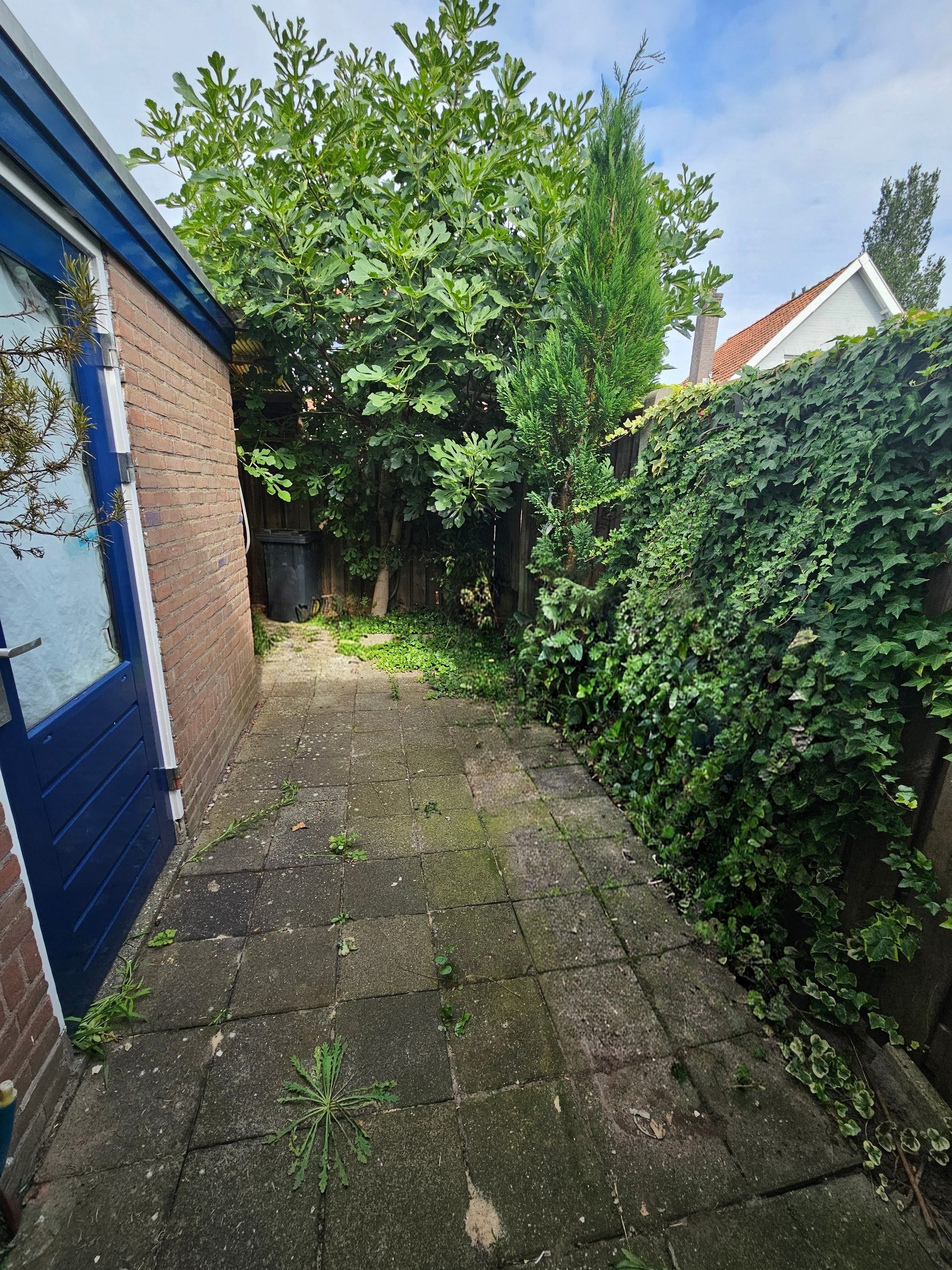 Reigerstraat 14