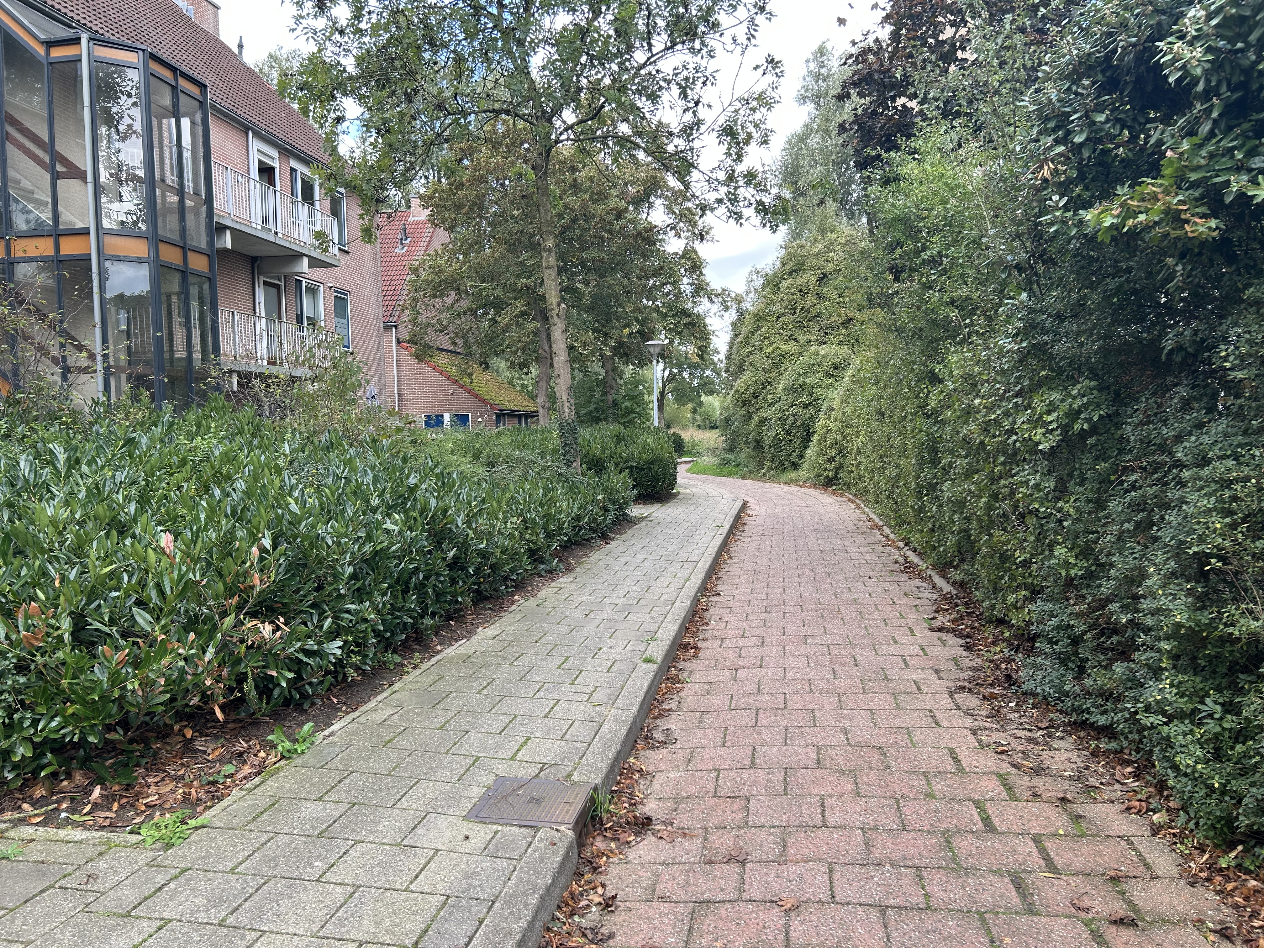 De Brink 40