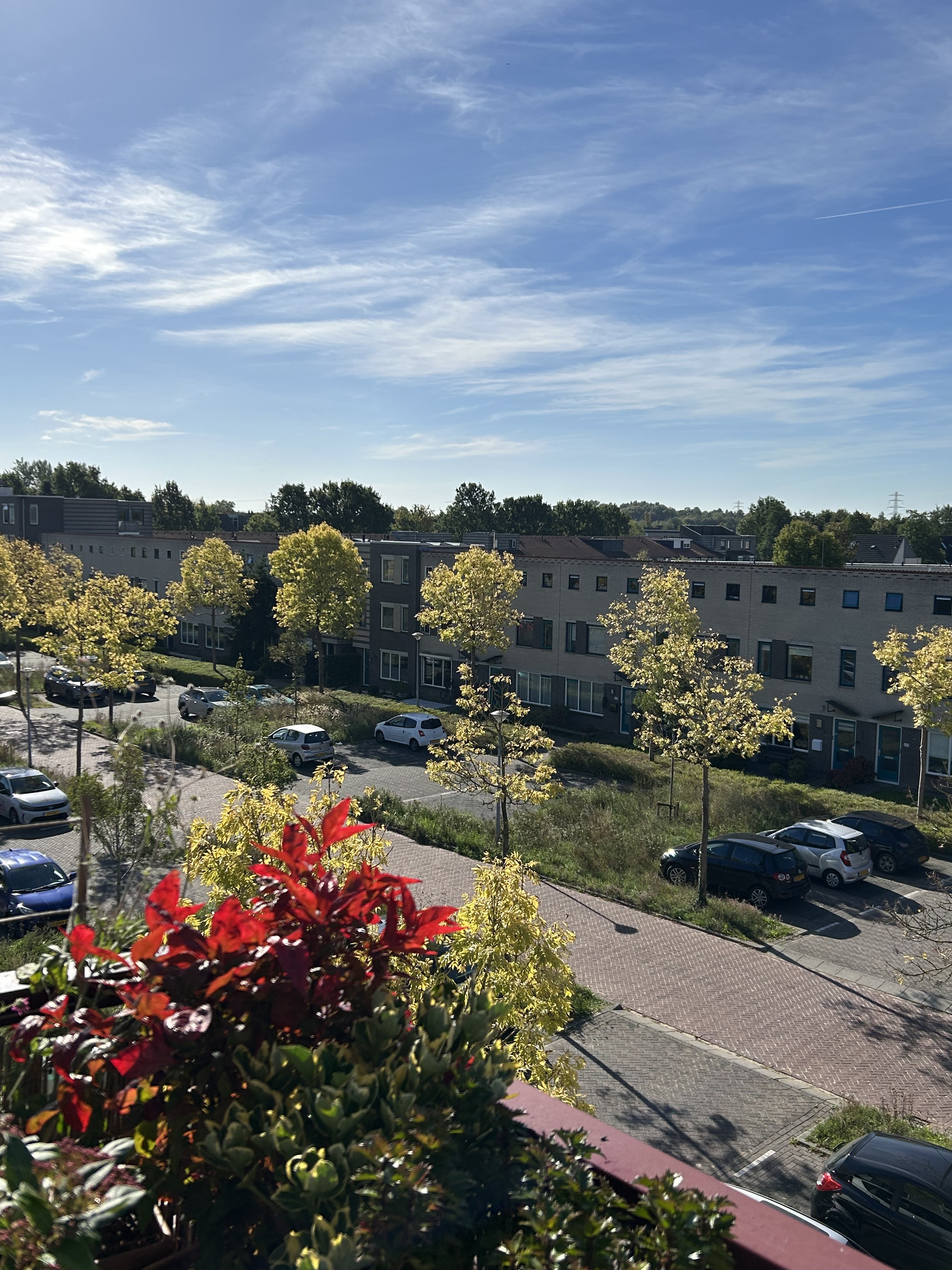 Ida Gerhardtsingel 181
