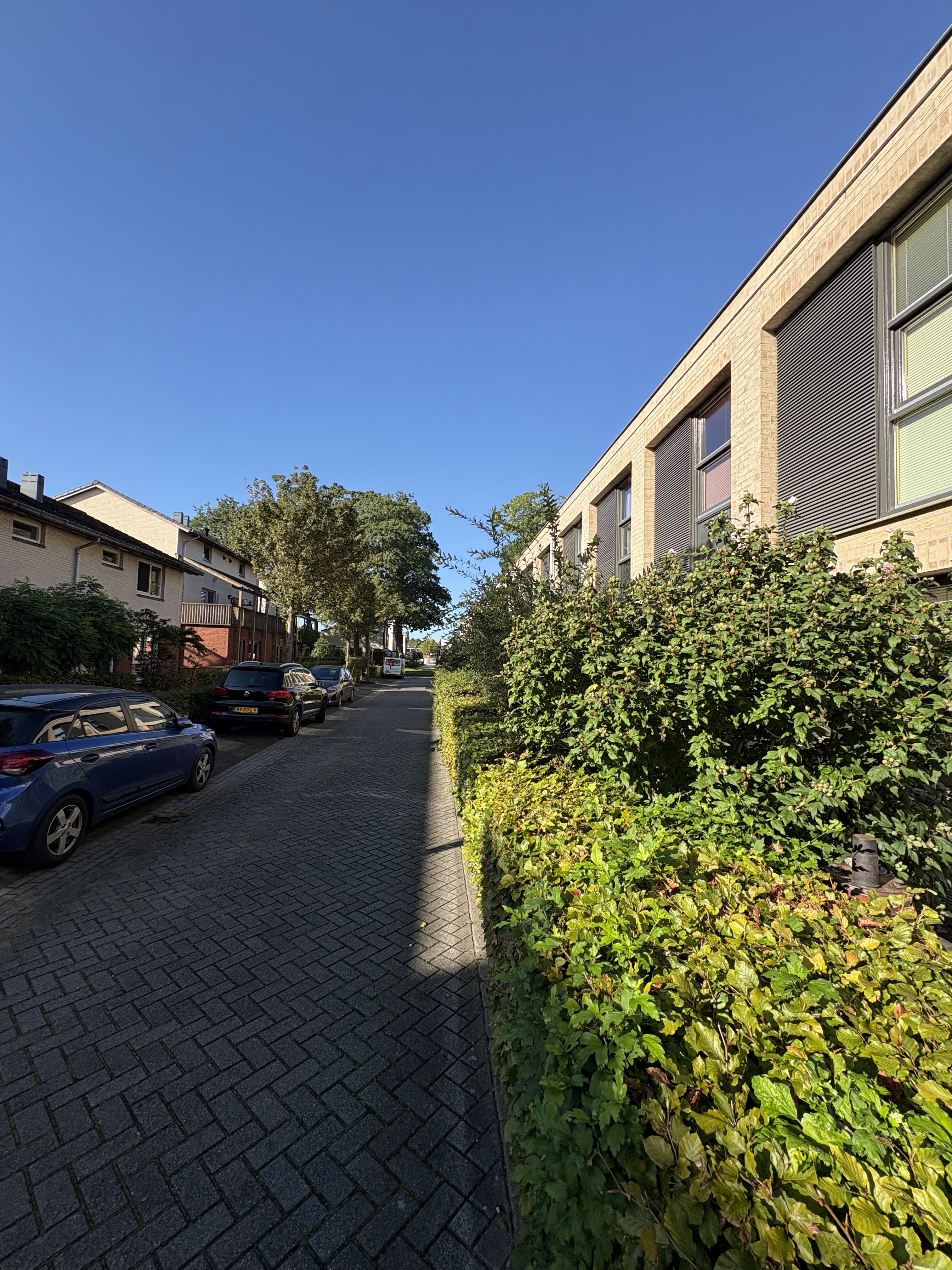 Albert Haelweghstraat 17