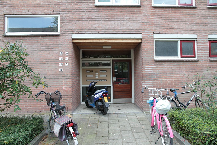 Bukhorst 8