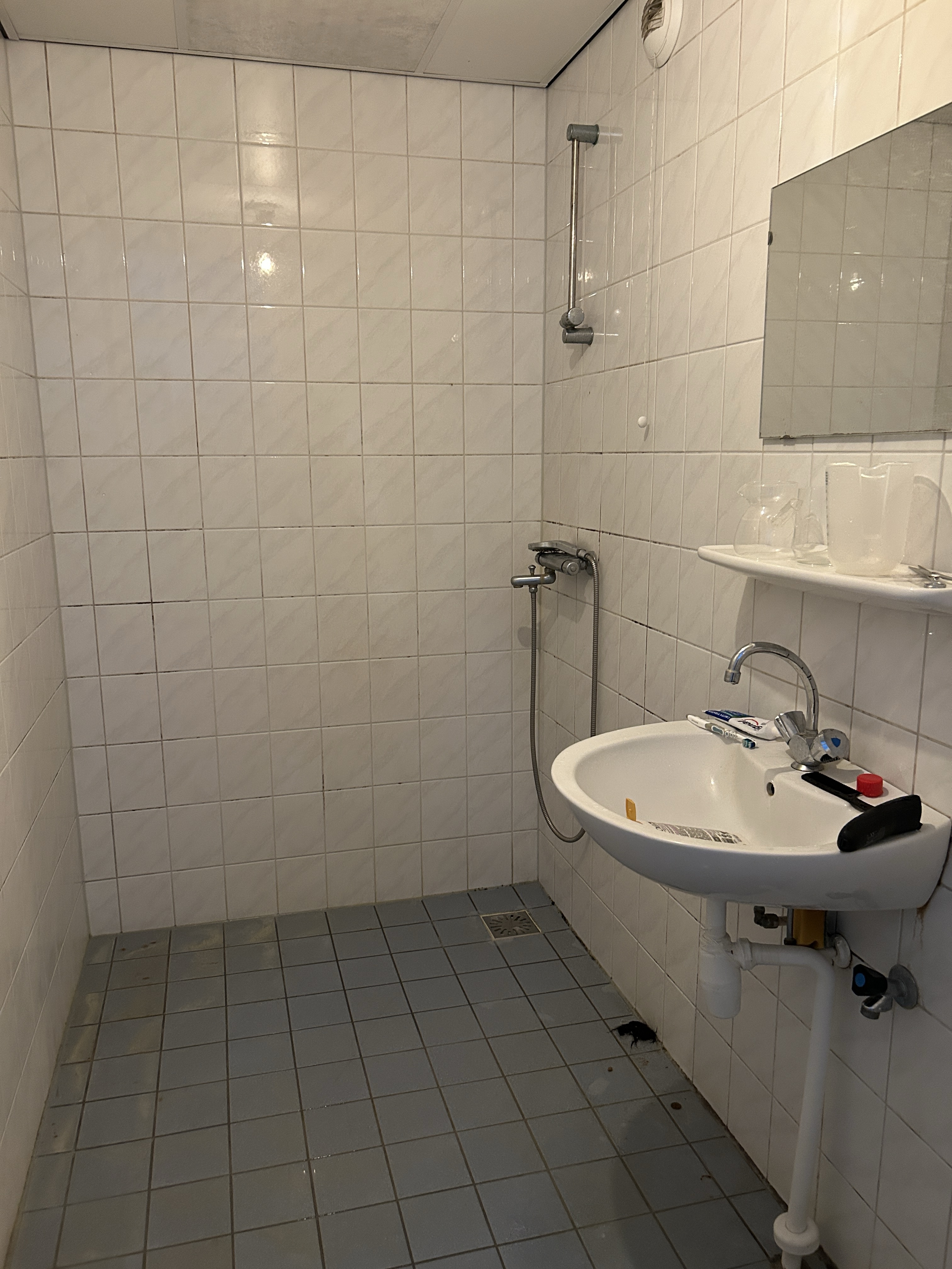 Bukhorst 8