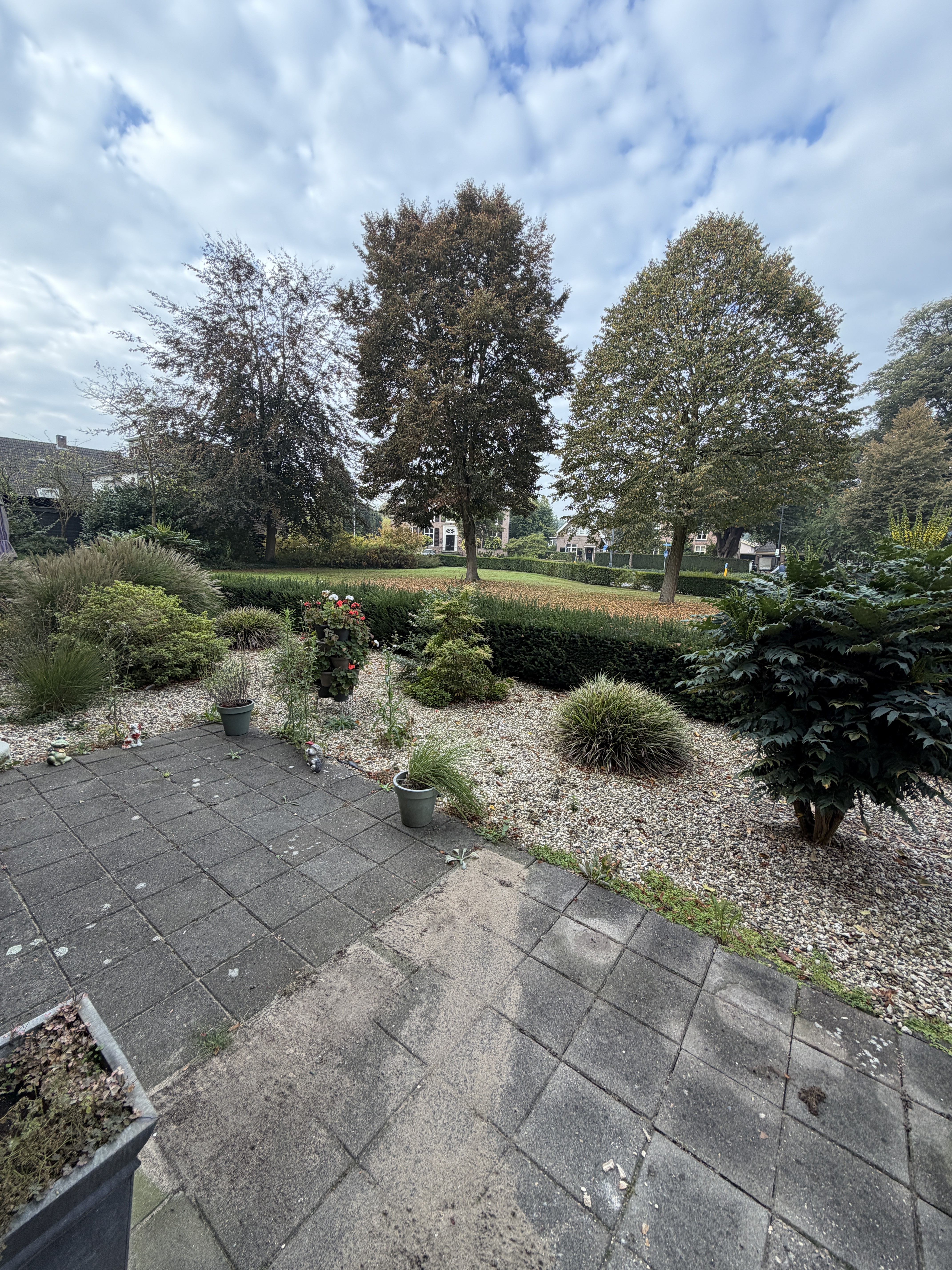 Molenhorst 4