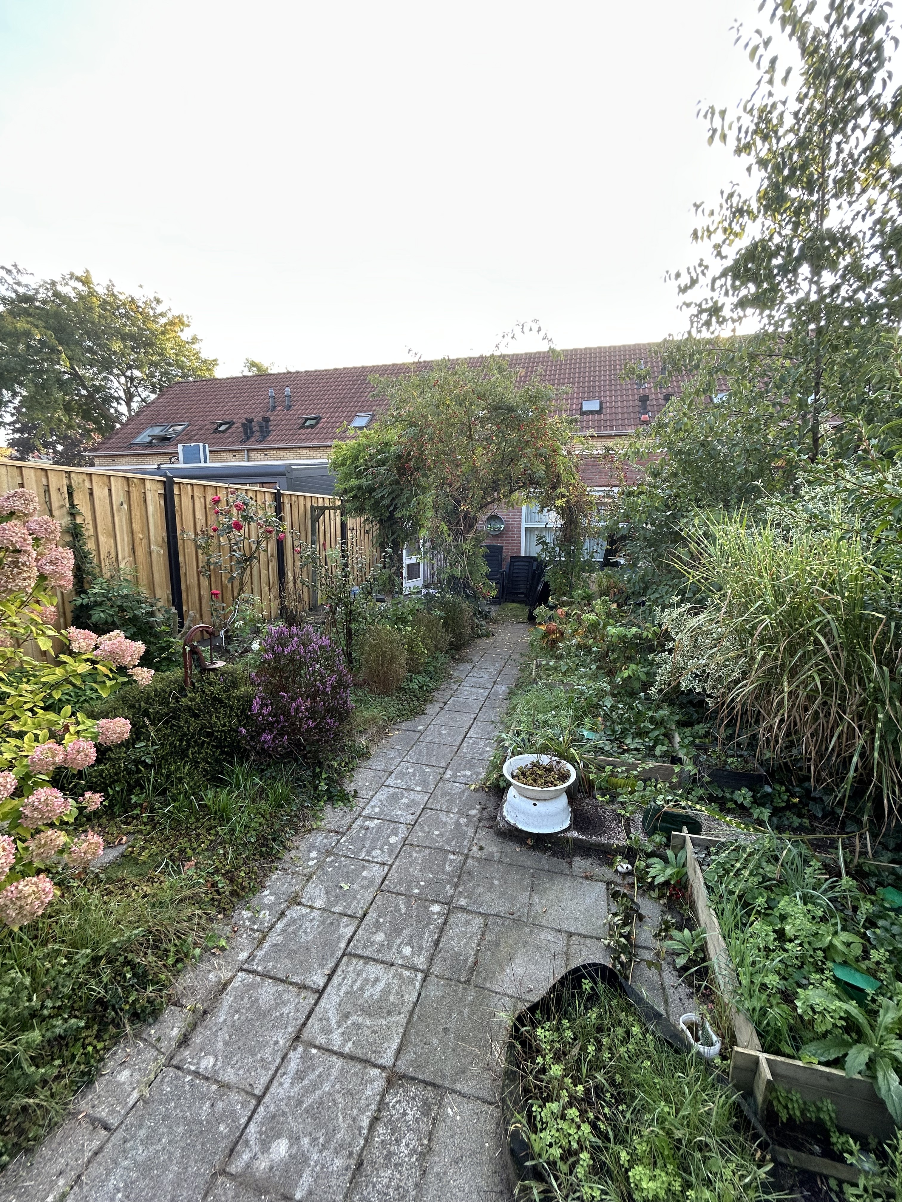 Montferland 37