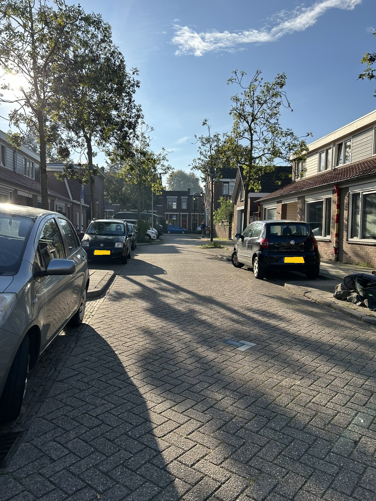 Van Haexbergenstraat 25
