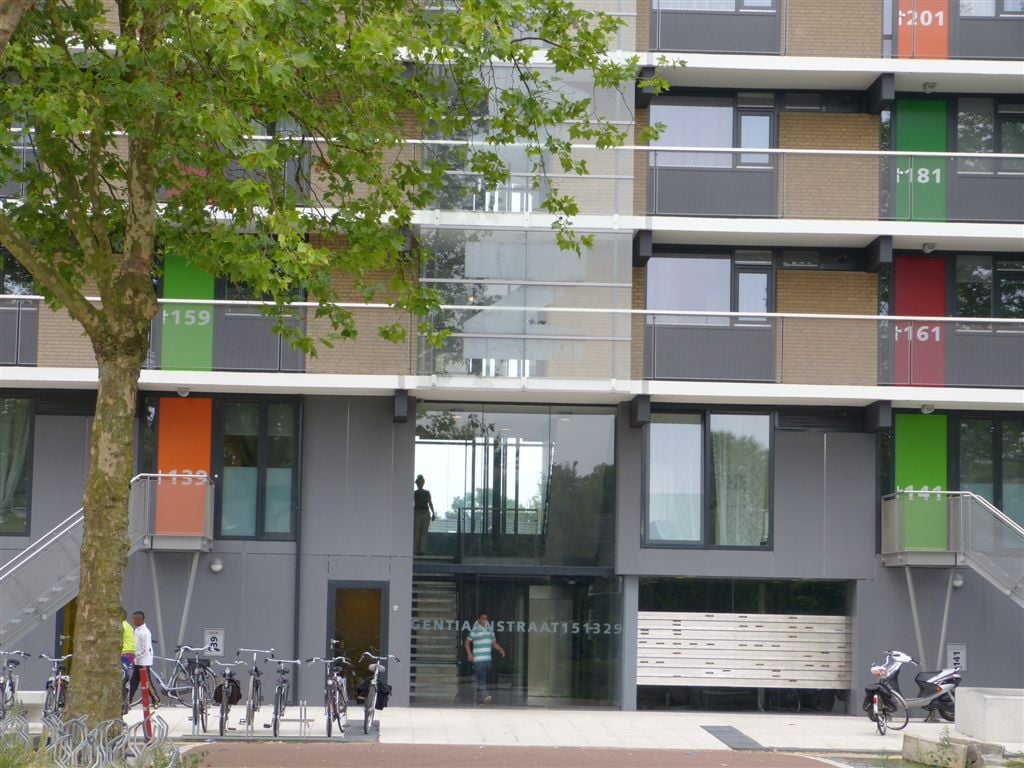 Gentiaanstraat 203
