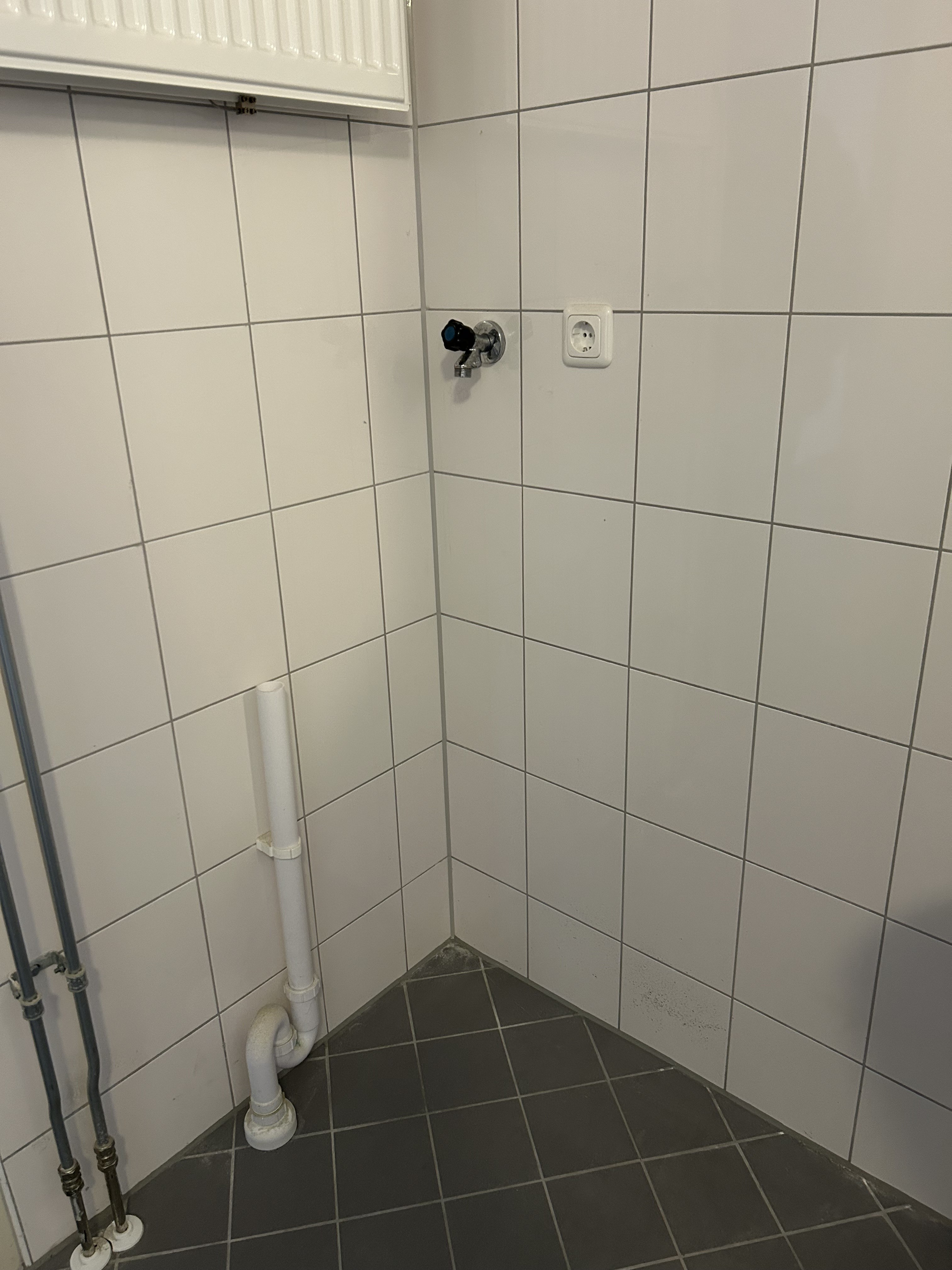 Runneboom 57