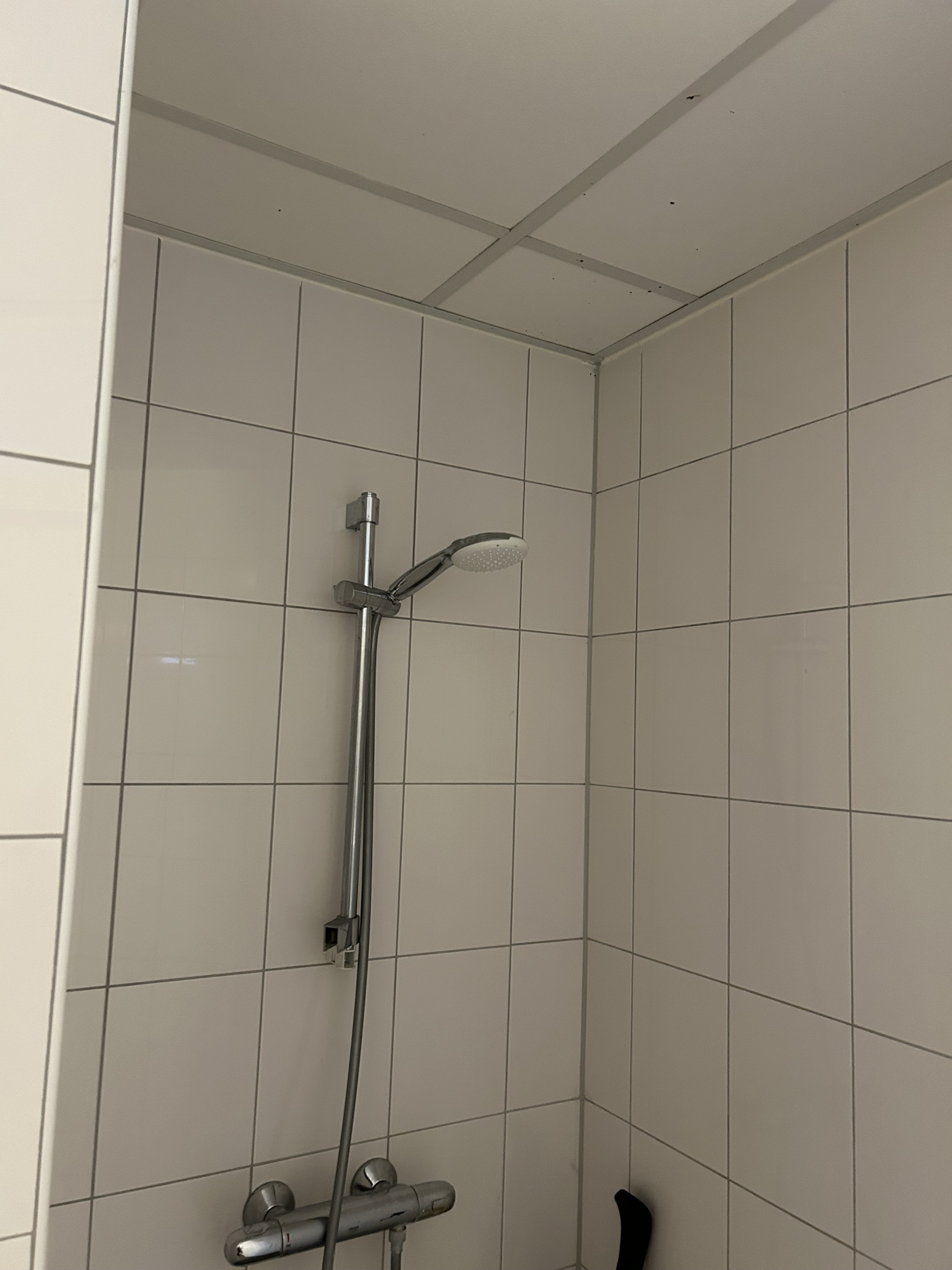 Runneboom 57