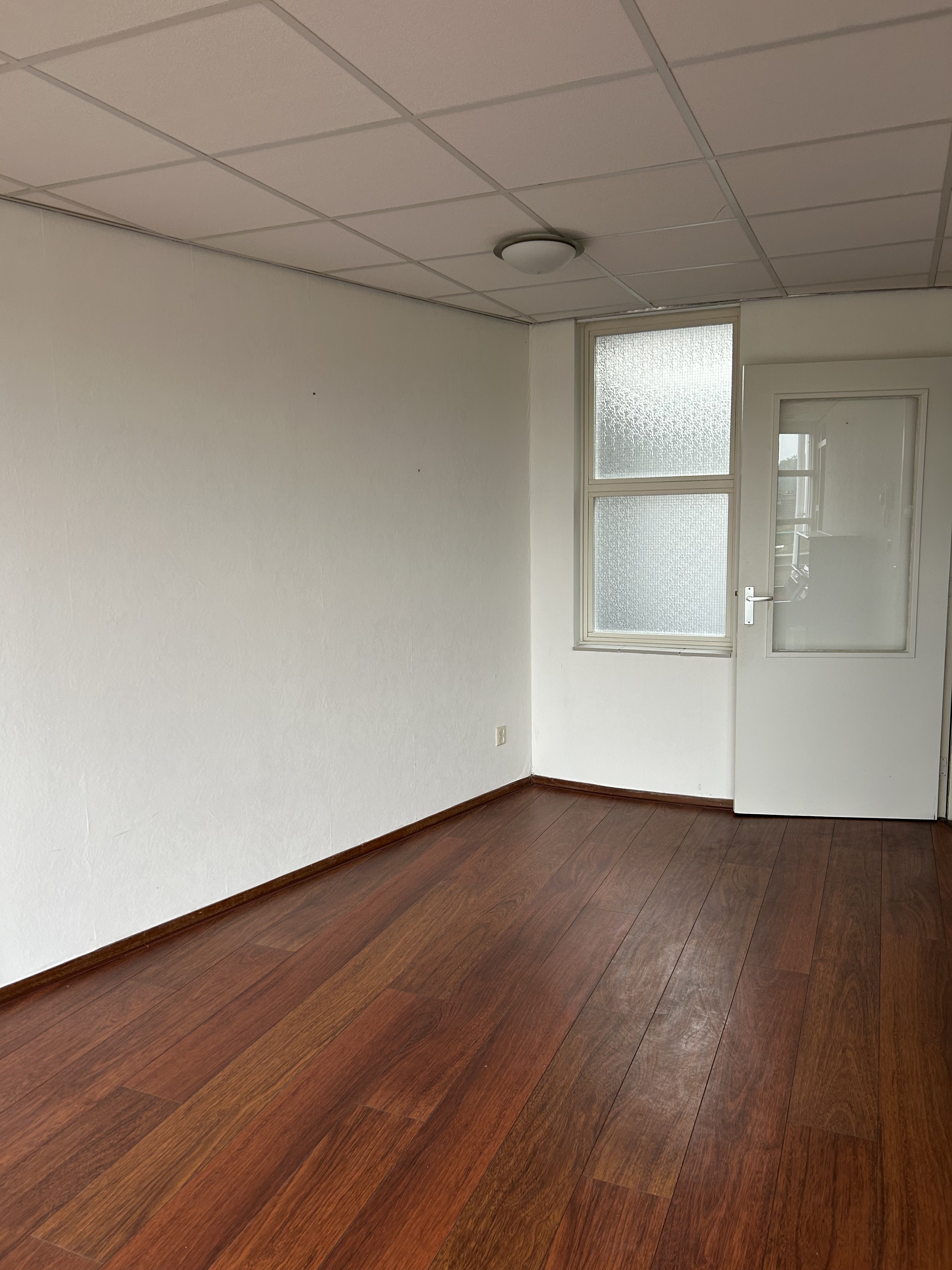 Runneboom 57