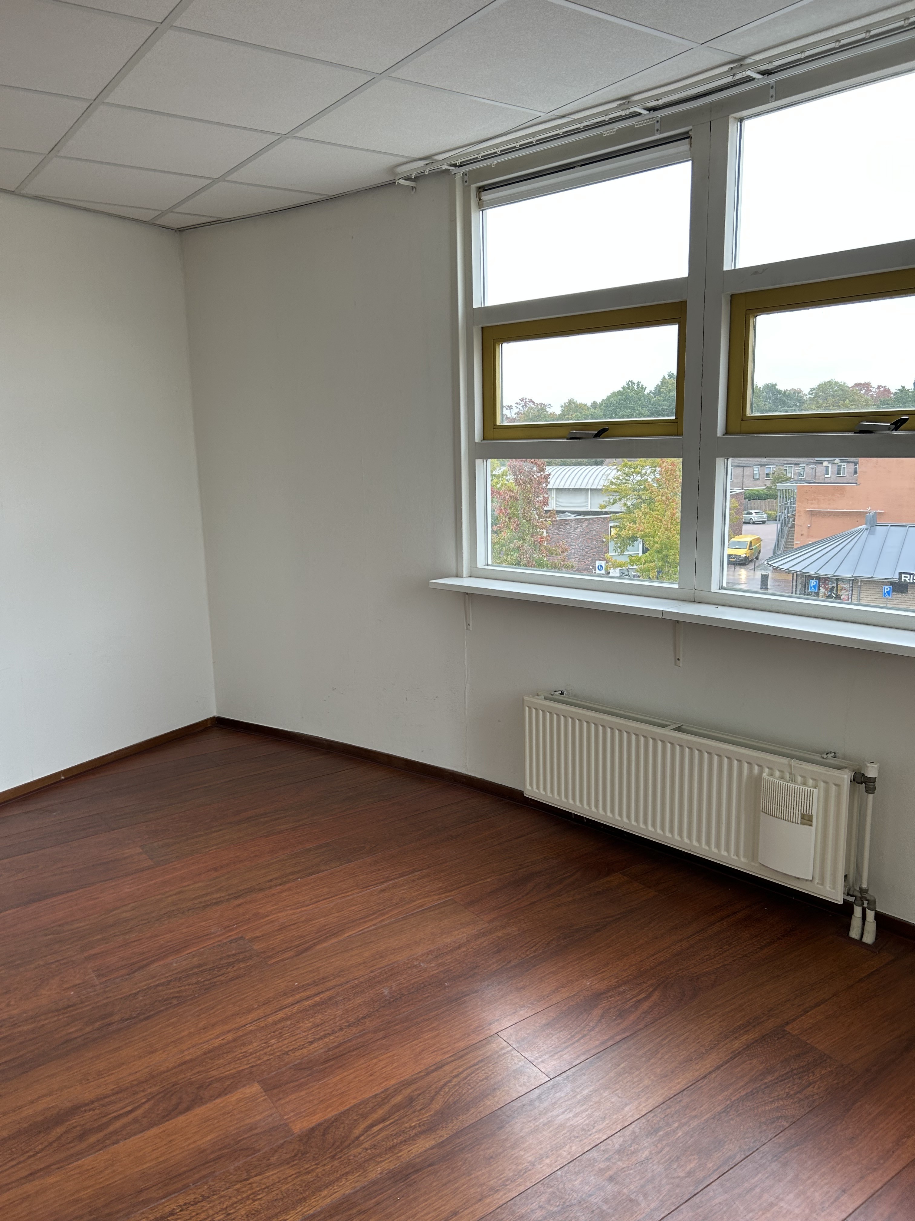 Runneboom 57