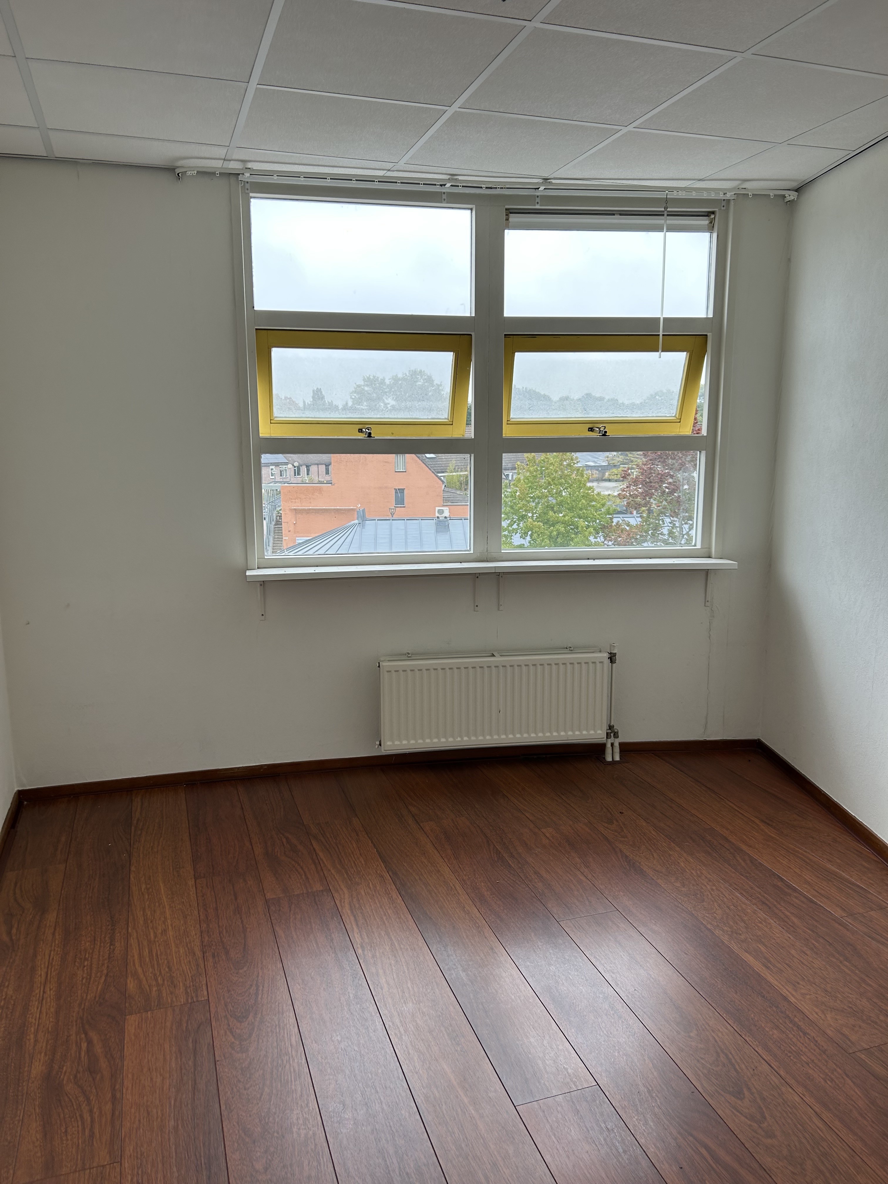 Runneboom 57