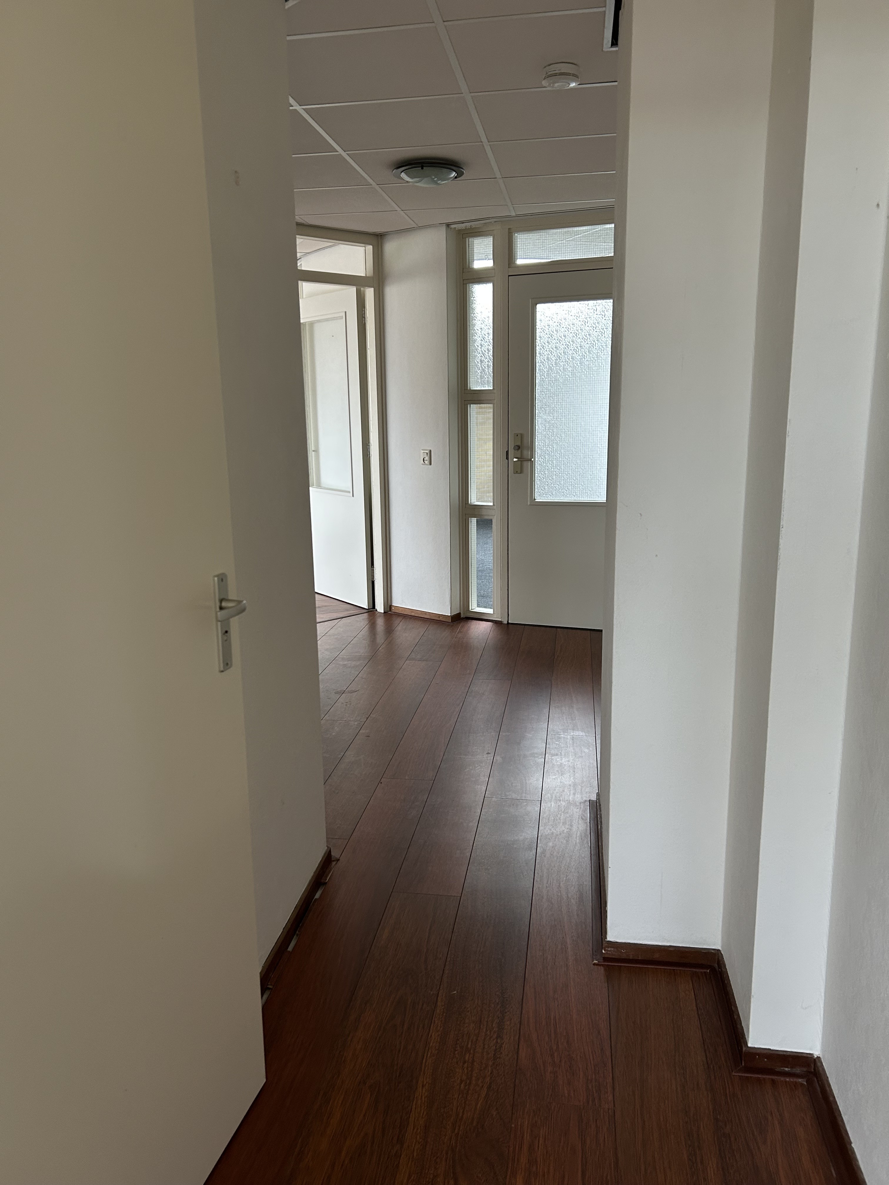 Runneboom 57